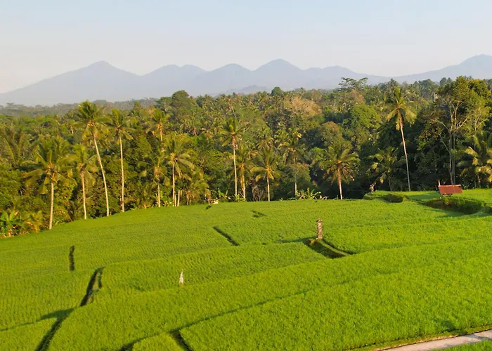 Villa Ayawana Private Managed By Arm Hospitality *